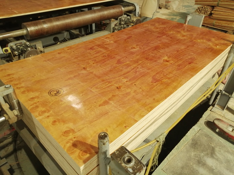 客戶一看這個建筑模板——靚